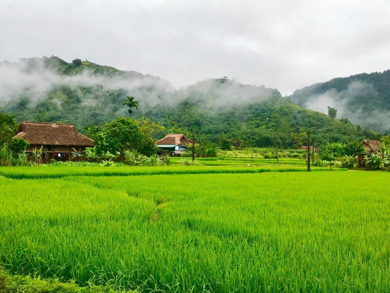 Xoi Farmstay - Eco Homestay Luc Yen Yen Bai Dış mekan fotoğraf