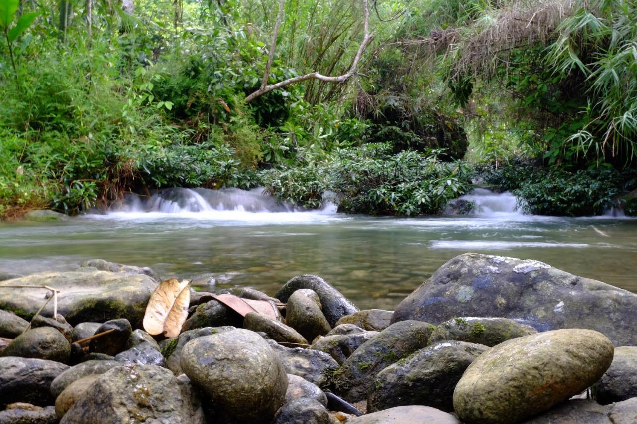 Xoi Farmstay - Eco Homestay Luc Yen Yen Bai Dış mekan fotoğraf