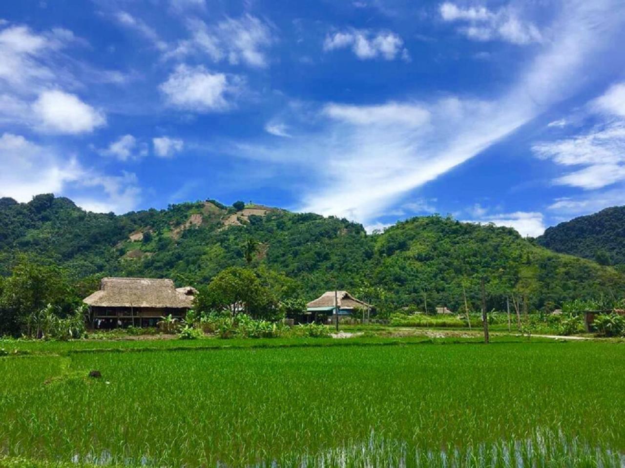 Xoi Farmstay - Eco Homestay Luc Yen Yen Bai Dış mekan fotoğraf